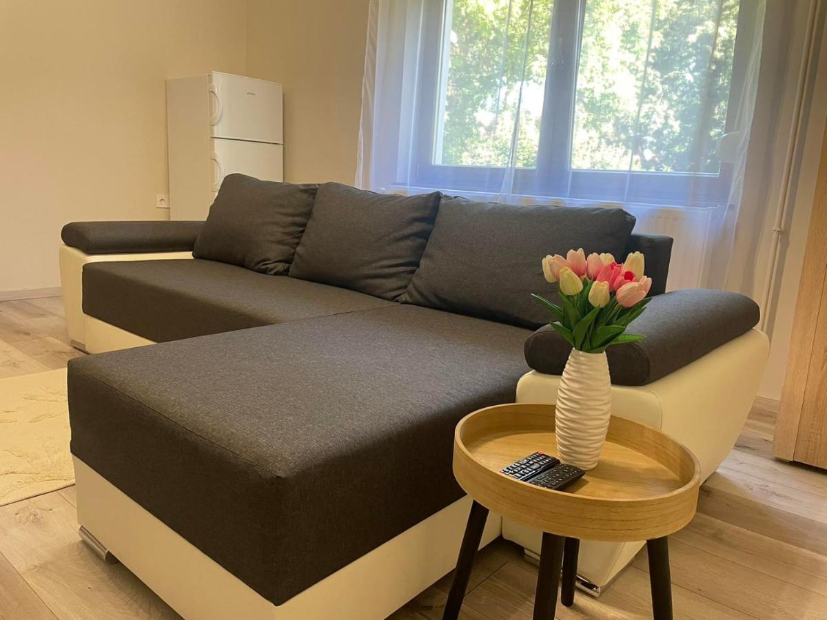 Tulipan Apartman Makó 外观 照片