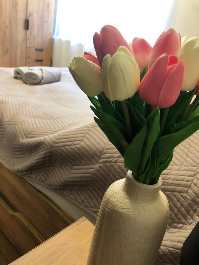 Tulipan Apartman Makó 外观 照片